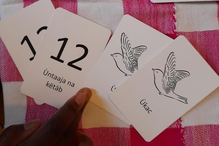 Jeu mémo Manjak 2